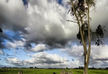 百家乐有哪些常见玩法及特点？